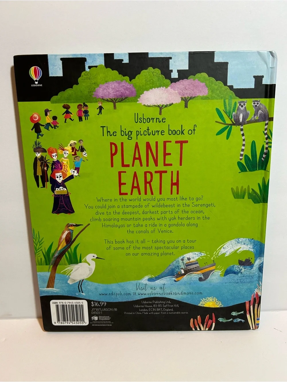 Usborne Planet Earth Picture Book - hardcover